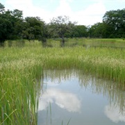 Mupa National Park, Angola