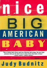 Nice Big American Baby (Judy Budnitz)