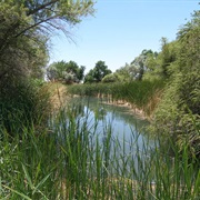 Desert National Wildlife Refuge