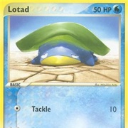 Lotad