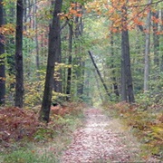 Tuscarora State Forest, Pennsylvania