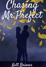 Chasing Mr. Perfect (Katt Briones)