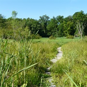 Audubon Center in Greenwich, Connecticut