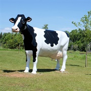 Cows Creamery, Prince Edward Island, Canada