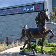 American Saddlebred Museum, Lexington, KY