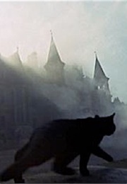 Black Cat, the Legend of Hell House (1973)