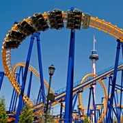 Nighthawk (Carowinds, USA)
