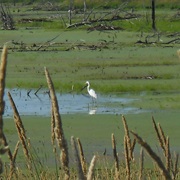 Volo Bog National Natural Landmark