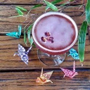 Japanese Garden (Tokyo, Japan)