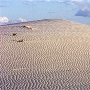 Monahans Sandhills State Park, Texas