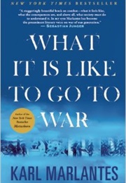 What It Is Like to Go to War (Karl Marlantes)
