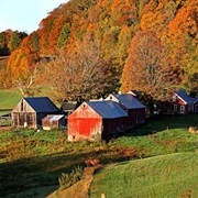 Jenne Farm, Reading, VT