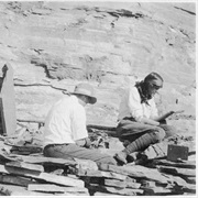 Fossils From Cambrian Era Found in Rockies (1909)