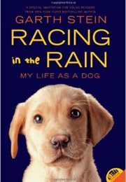 Racing in the Rain (Garth Stein)