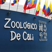Zoologico De Cali
