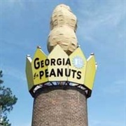 World's Largest Peanut
