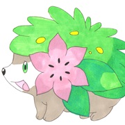 Land Forme Shaymin