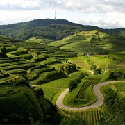 Vogtsburg Im Kaiserstuhl, Germany