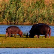 St. Lucia South Africa