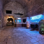 Dubrovnik Aquarium