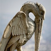 Gargoyle, Notre Dame, Paris