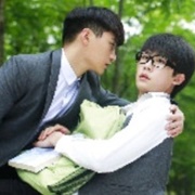 The Fairy Fox (2017)