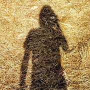 Steven Wilson, Unreleased Electronic Music