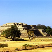 Monte Albán