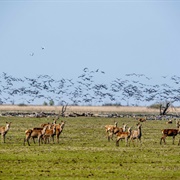Nieuw Land National Park