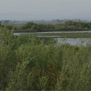 Toppenish National Wildlife Refuge