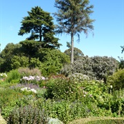 Christchurch Botanical Garden New Zealand