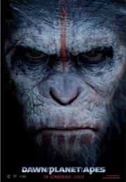 Dawn of the Planet of the Apes