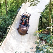 Bob (Efteling, Netherlands)