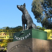 The Dog on the Tuckerbox