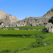 Village to Village in the Markha Valley, India