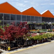 The Smell of Home Depot's Outdoor Section