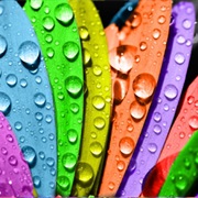 A Book With a Color in the Title