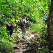 Hiking off the Beaten Track Srimangal