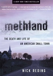 Methland: The Death and Life of an American Small Town (Nick Reding)