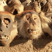 Akodessewa Fetish Market, Togo