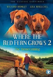 Where the Red Fern Grows, Part 2