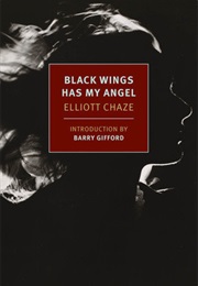 Black Wings Has My Angel (Elliott Chaze)