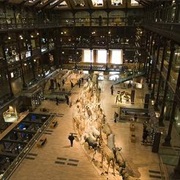 Natural History Museum, Geneva