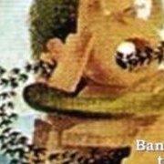 Birds and Buildings - Bantam to Behemoth