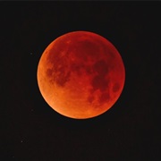 Blood Moon
