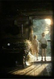 The Mirror (Andrei Tarkovsky)