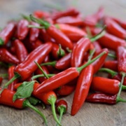 Serrano Pepper