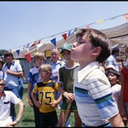 Spitting Watermelon Seeds
