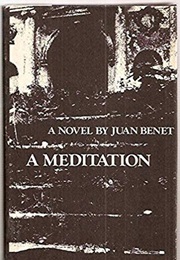A Meditation (Juan Benet)