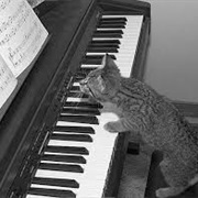 Forget About Trying to Learn a Musical Instrument